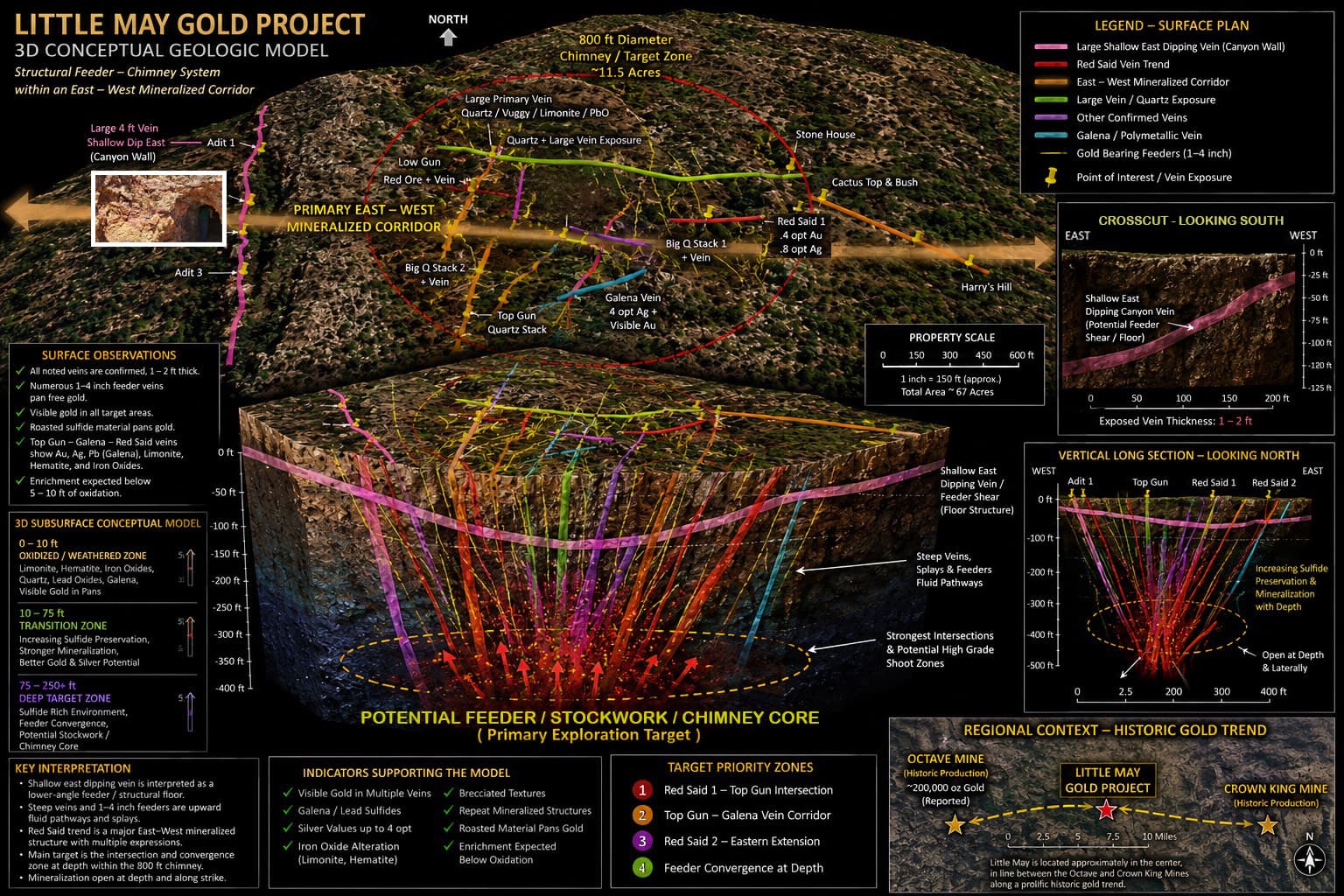 3D Conceptual Geologic Model - Little May Gold