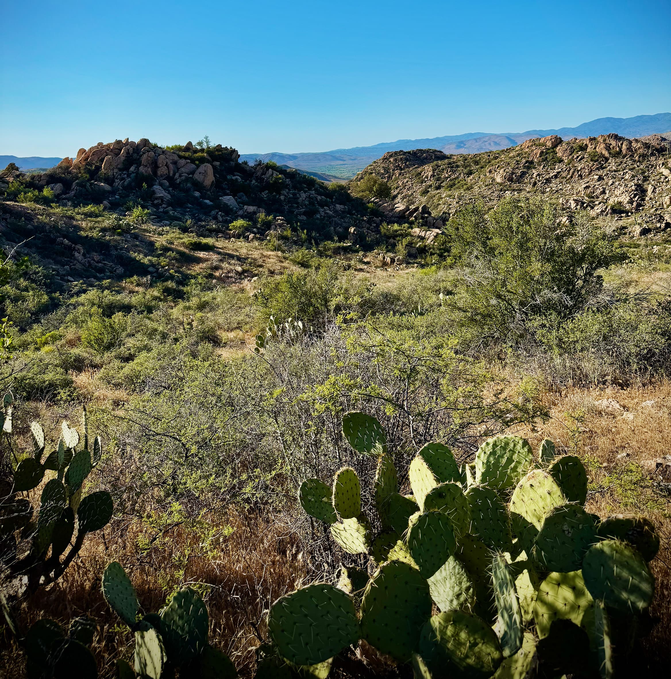 Top Gun Area - Bradshaw Mountains, Arizona